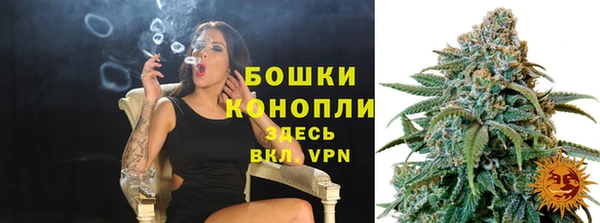 сатива Богородицк