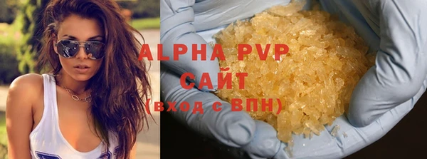сатива Богородицк