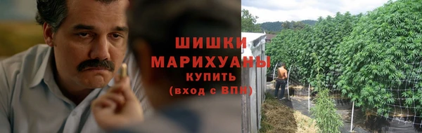 сатива Богородицк