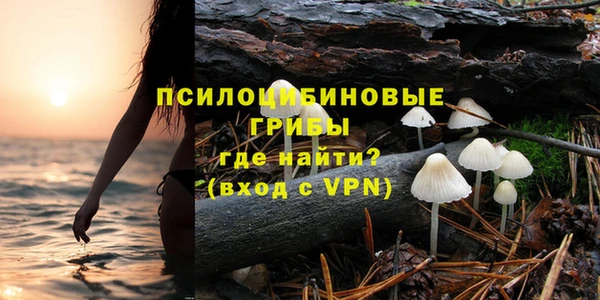 сатива Богородицк