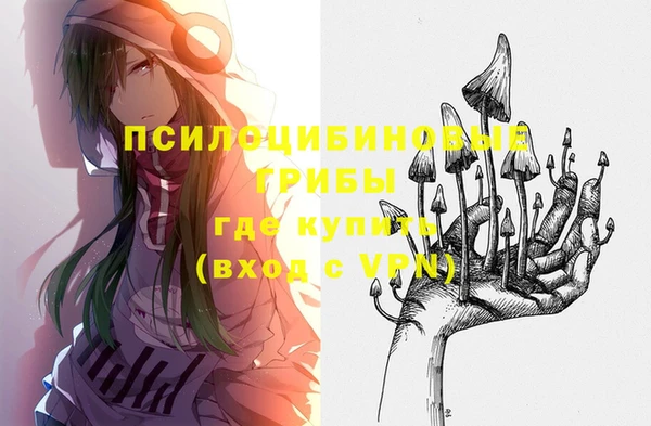 сатива Богородицк