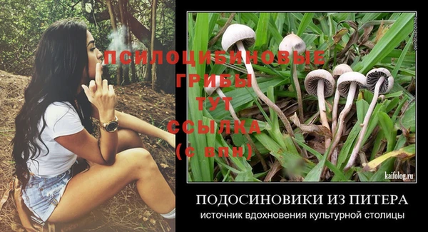 МДПВ Богданович