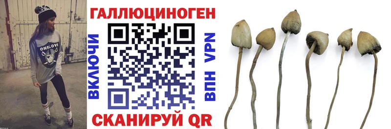 Галлюциногенные грибы Psilocybine cubensis  магазин    Мураши 